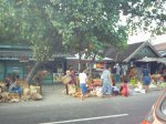 Kumpulan Foto-Foto tempat di Gundih Pasar1